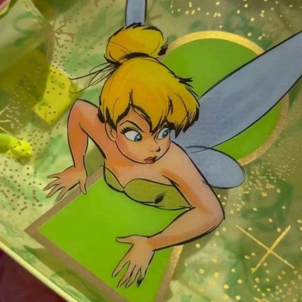 Tinker Bell Makeup Bag HTF 🧚‍♂️